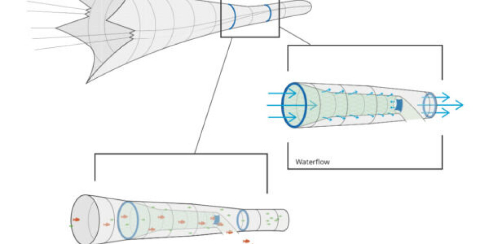 Excluderen er en videreudvikling af en anden slags excluder, som i de senere år har vist gode resultater med at minimere bifangst af bl.a. sild i sperlingfiskeriet. Illustration: DPPO