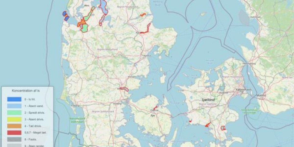 Op til 70 centimeter tyk is i Limfjorden kort-isudbredelse-09-02-2021-1146x694-2021-artikel-768x465
