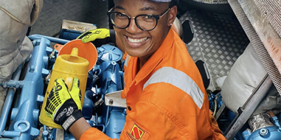 Women in Maritime: Branchens kvinder skal kortlægges WISTAsurveyInsidePic