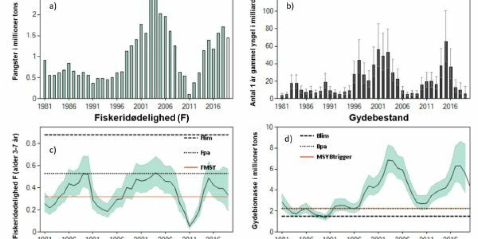 Figuren viser den historiske udvikling i blåhvillingfiskeriet og -bestanden i Nordøst Atlanten fra 1981 til 2019. a) Fangster, b) Tilgange af 1 år gammel yngel, c) Fiskeridødelighed med ICES-referencepunkterne Flim, Fpa og FMSY, d) Gydebestanden med ICES-referencepunkterne Blim, Bpa og MSY Btrigger. De grønne områder omkring fiskeridødelighed i c) og gydebestand i d) angiver usikkerheden i modelberegningerne. Kilde: ICES (Det Internationale Havforskningsråd).