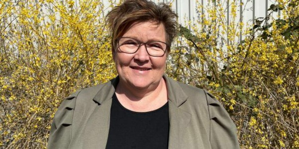 Ny direktør i Lederne Søfart, Helle Andsbjerg. Foto: Lederne Søfart
