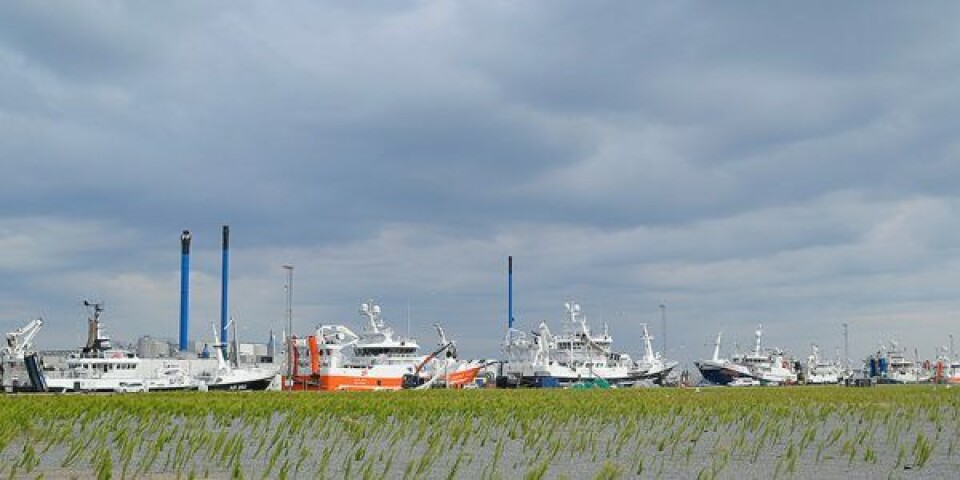 Foto: Skagen Havn