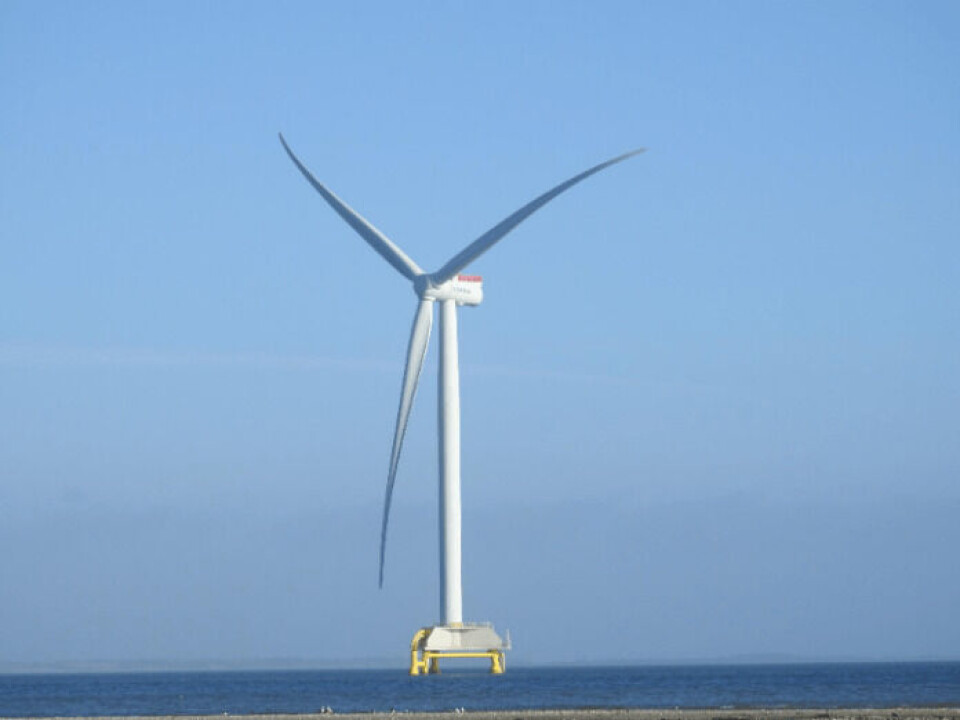Stor opbakning til vindmølle på jysk havn Stor opbakning til vindmølle på jysk havn