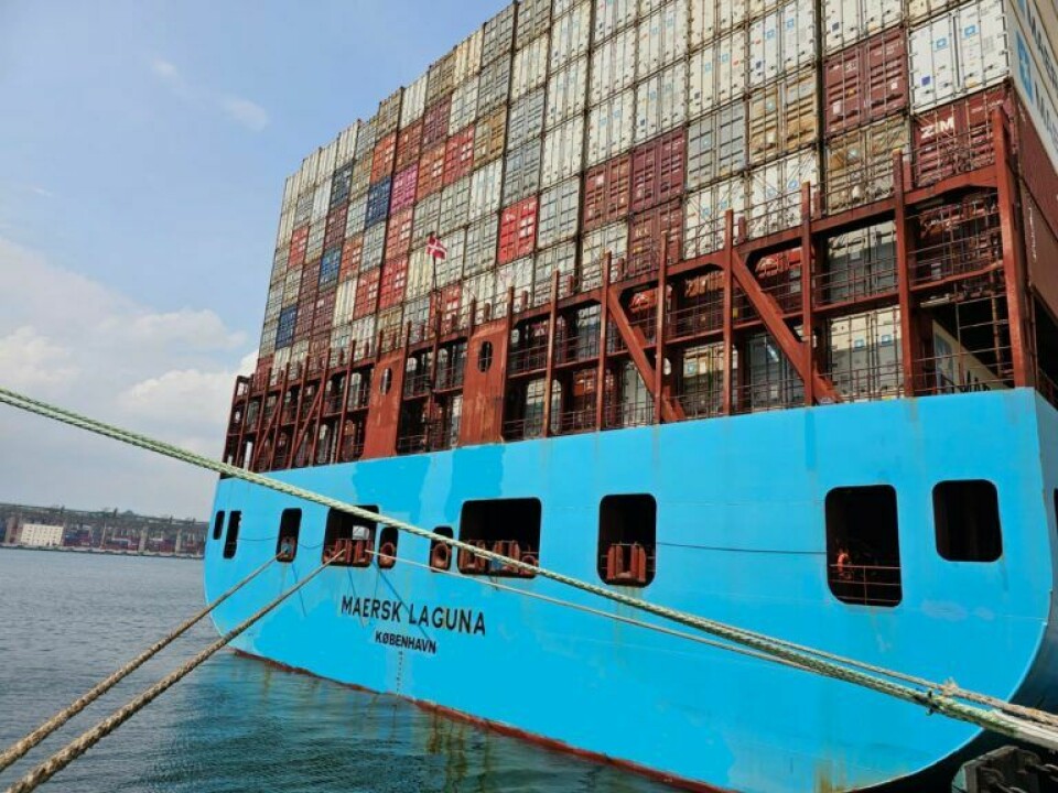 Stort indryk af Maersk-containerskibe under Dannebrog