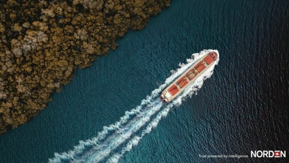 Norden i stor skibsrokade: Rykker mod bulker-sektoren