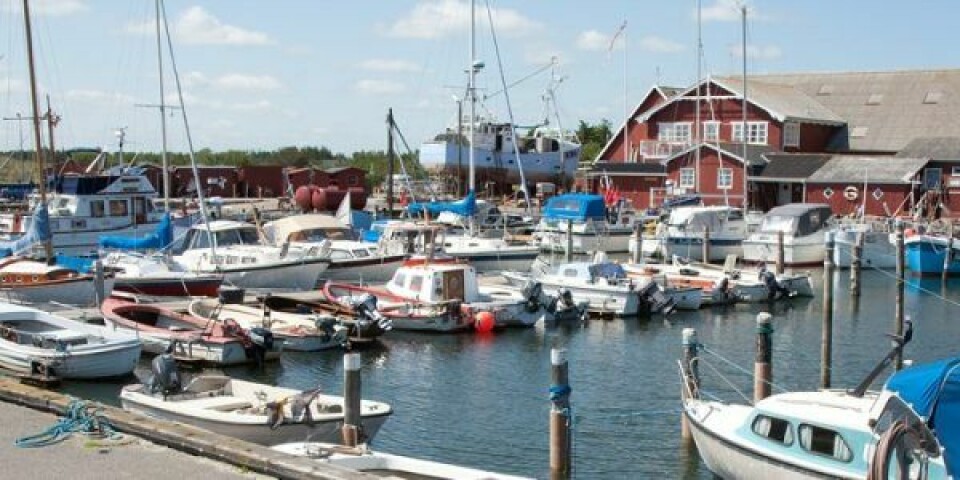 Ålbæk Havn. Foto: Frederikshavn Kommune