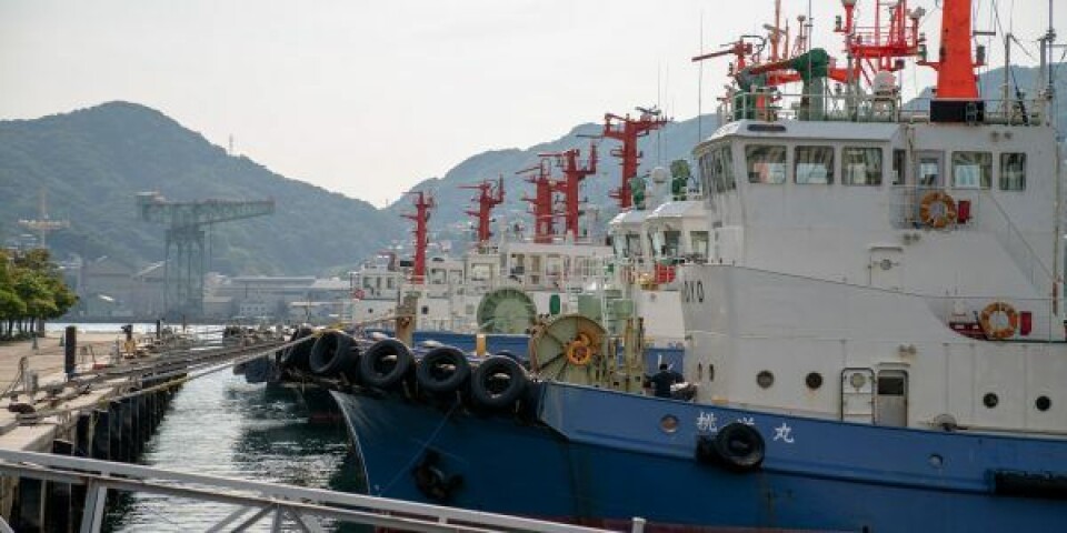 Radioaktivt vand fra Fukushima skal dumpes i havet Arkivfoto: Jason Rost / Unsplash