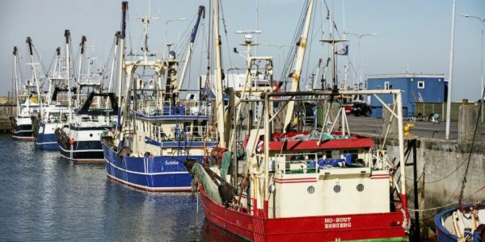 Nu skal havnen opdateres for Esbjergs fiskere. Foto: Esbjerg Havn