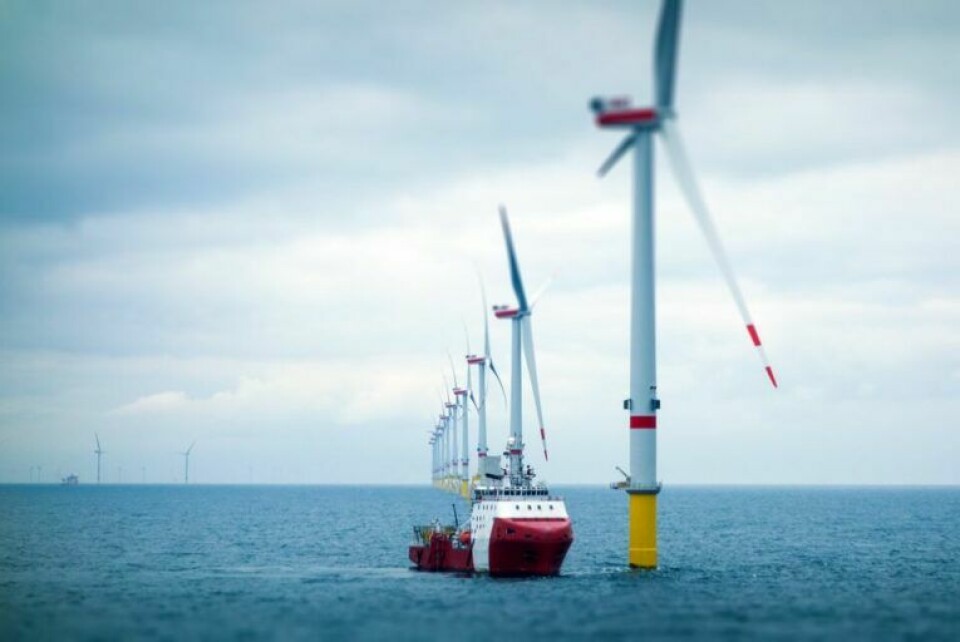 Wood Thilsted vinder kæmpe offshore vindmølleprojekt i England