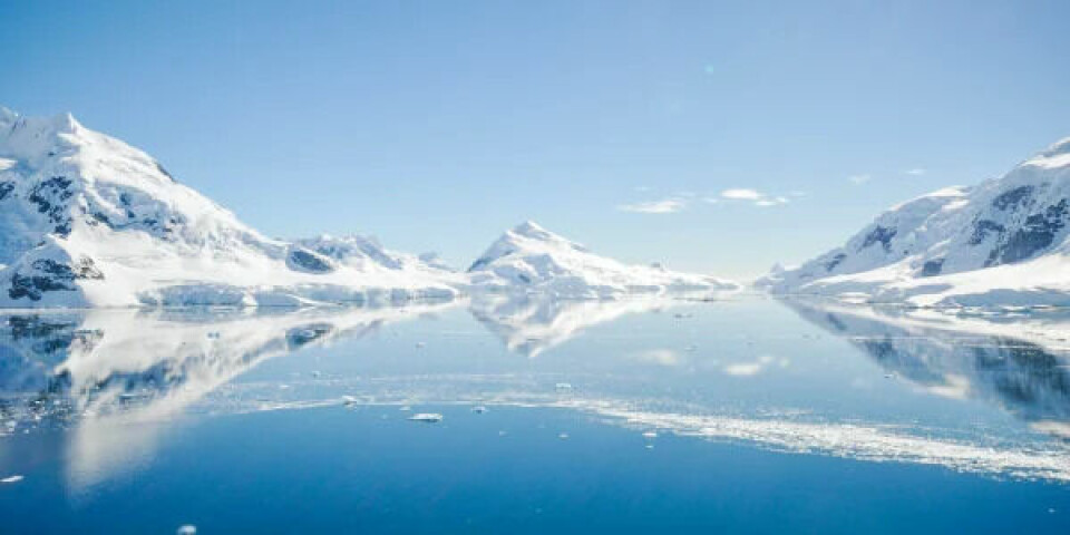 Antarktis - dog ikke stedet for fundet af Endurance. Arkivfoto: Henrique Setim / Unsplash