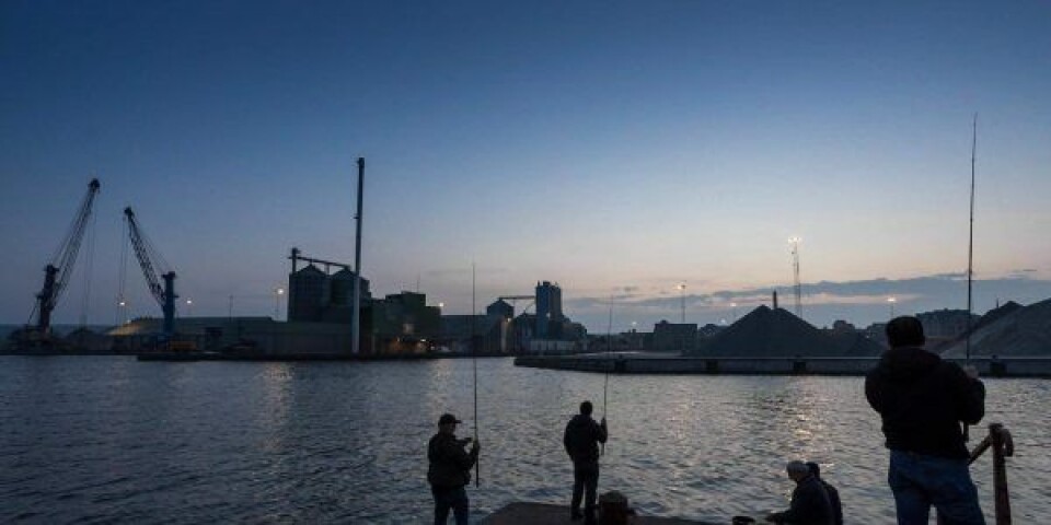 Pas godt på dig selv – Nye regler for fiskeri på Aabenraa Havn Foto: Aabenraa Havn