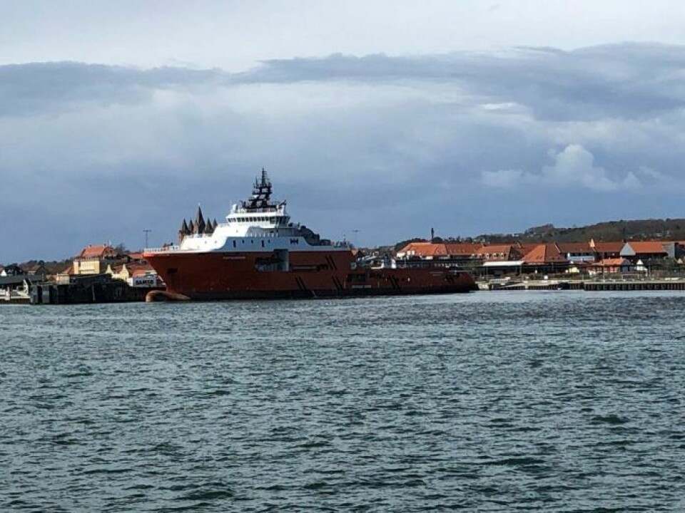 Massive offshore-skibe præger sjællandsk havn