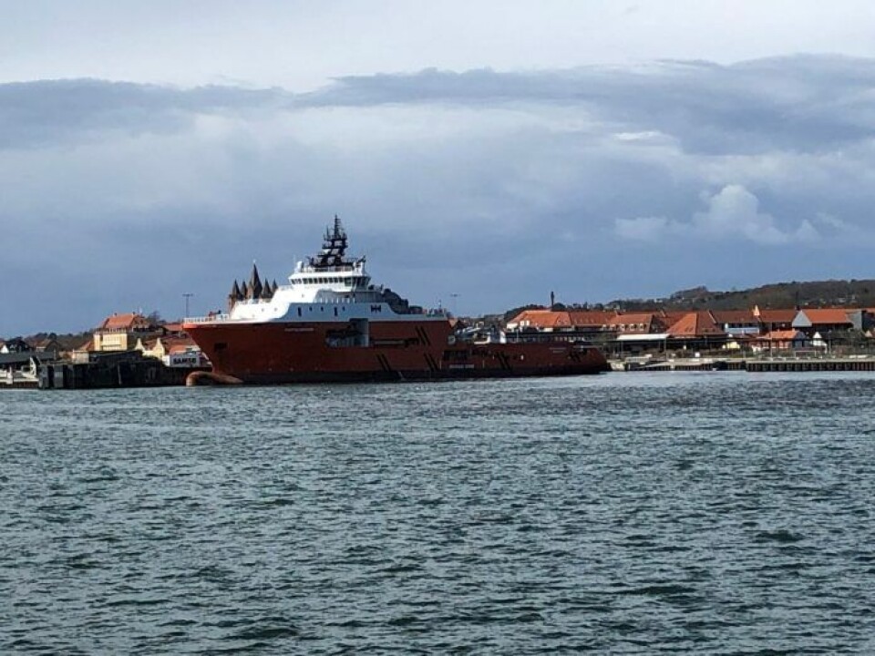 Massive offshore-skibe præger sjællandsk havn Massive offshore-skibe præger sjællandsk havn