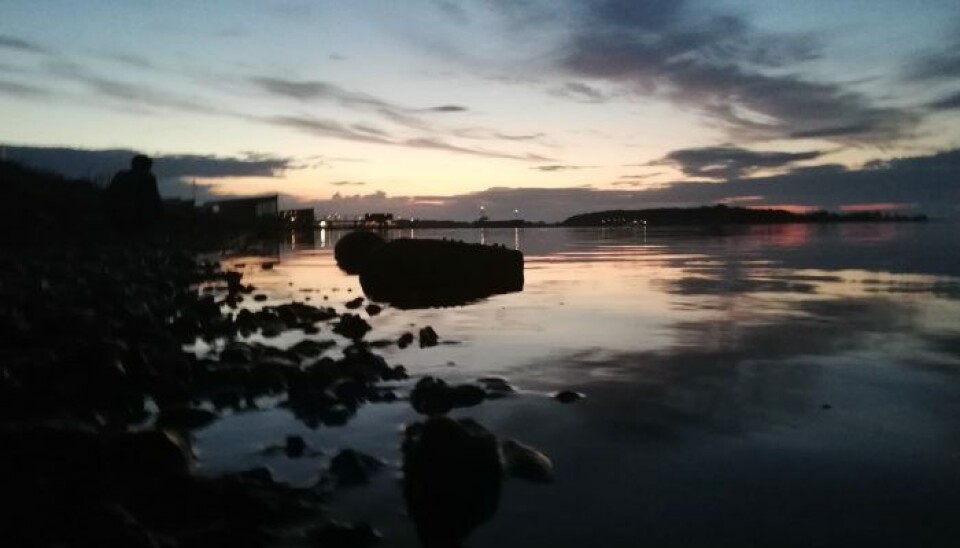 Limfjorden. Foto Stefan Holmager Larsen