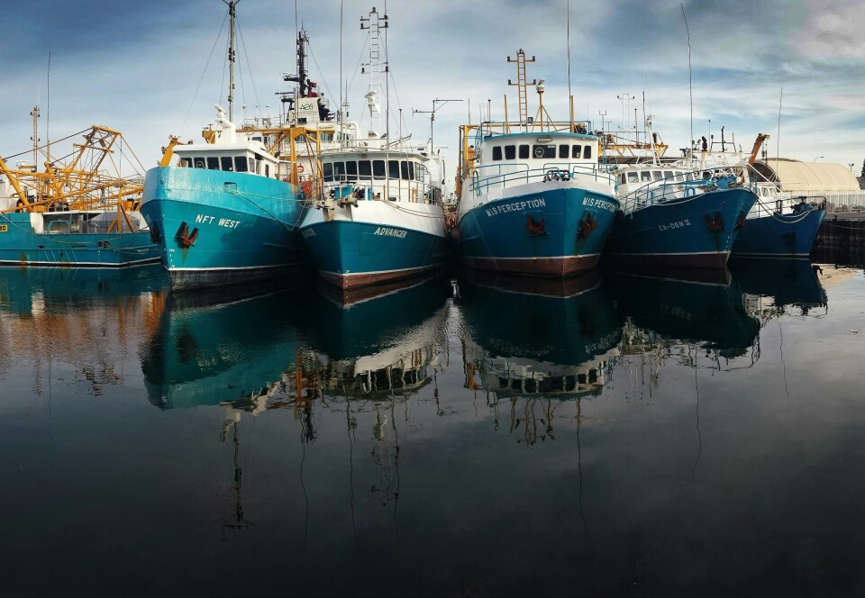 Læs hele det åbne brev til fiskeriministeren her