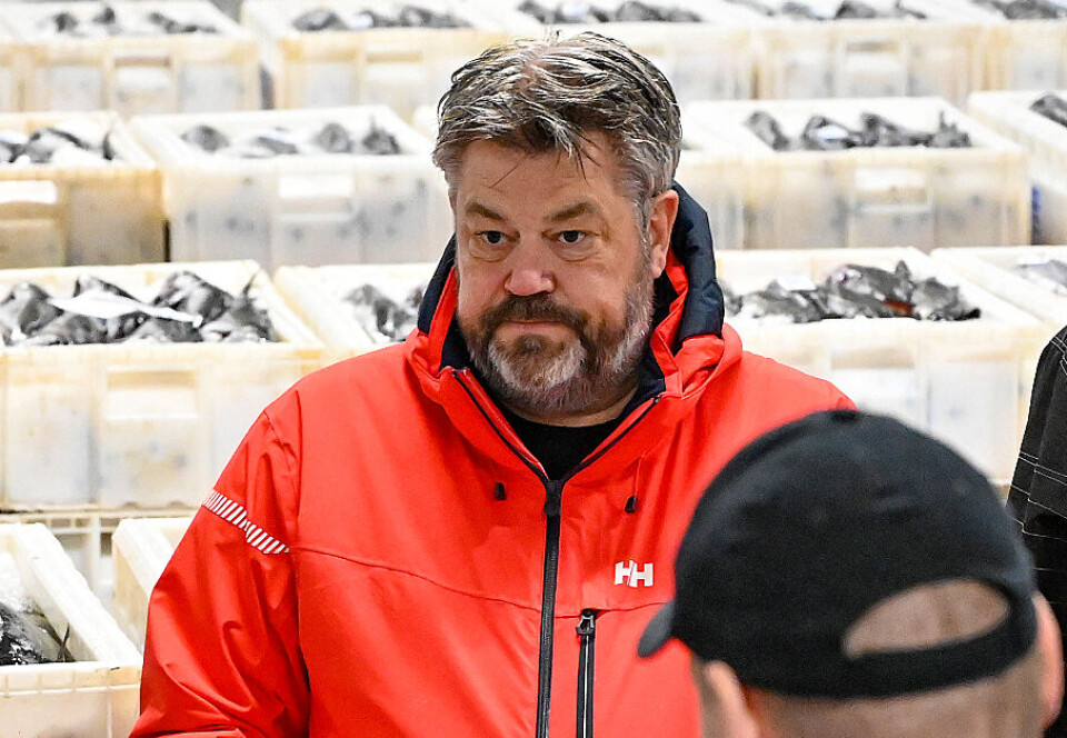 I Hanstholm sælger de fisk i stride strømme