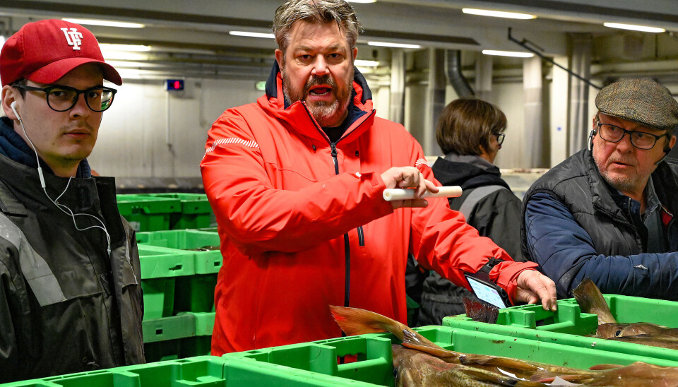 Jesper Kongsted svinger hammeren på fiskeauktionen.