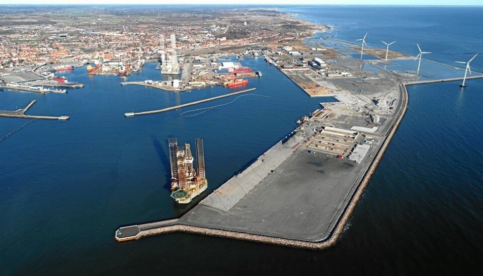 De særligt sårbare økosystemer ligger blandt andet i nødområdet ved Frederikshavn Havn.