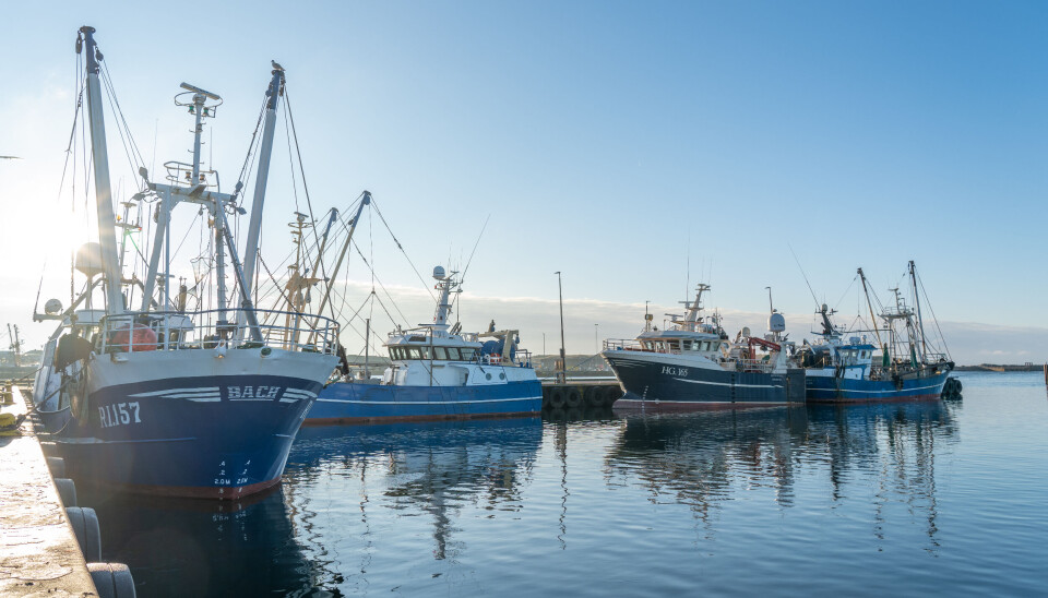 Millionoverskud på vestjysk fiskerihavn