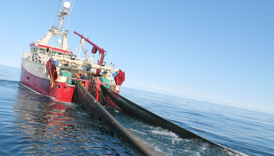 Stor tilfredshed med ny aftale om adgang til britisk farvand