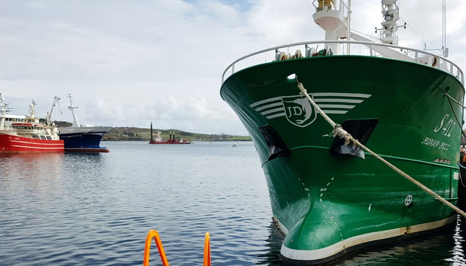 Her er de danske fiskekvoter for 2025