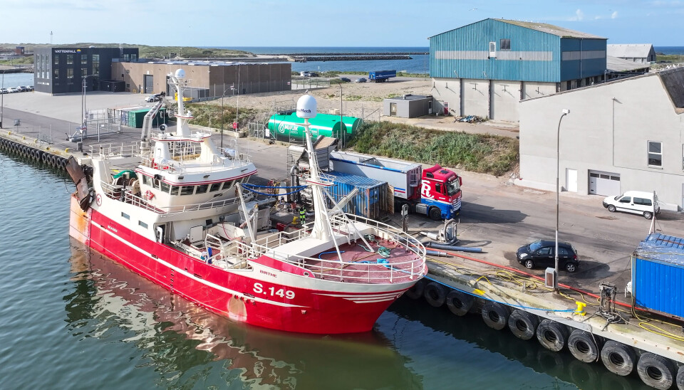 Hvide Sande - En havn under forandring
