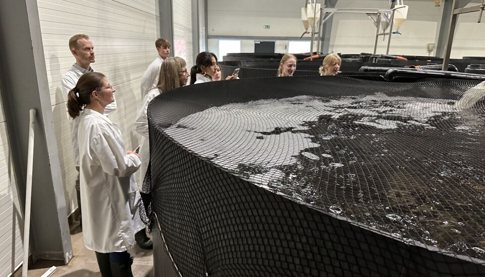 HTX-elever fra CELF på besøg hos virksomheden Gårdsfisk i Sverige.