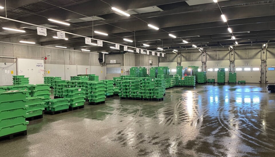 Der er blevet længere mellem landingerne af fisk i Thyborøn, Hvide Sande og Thorsminde.