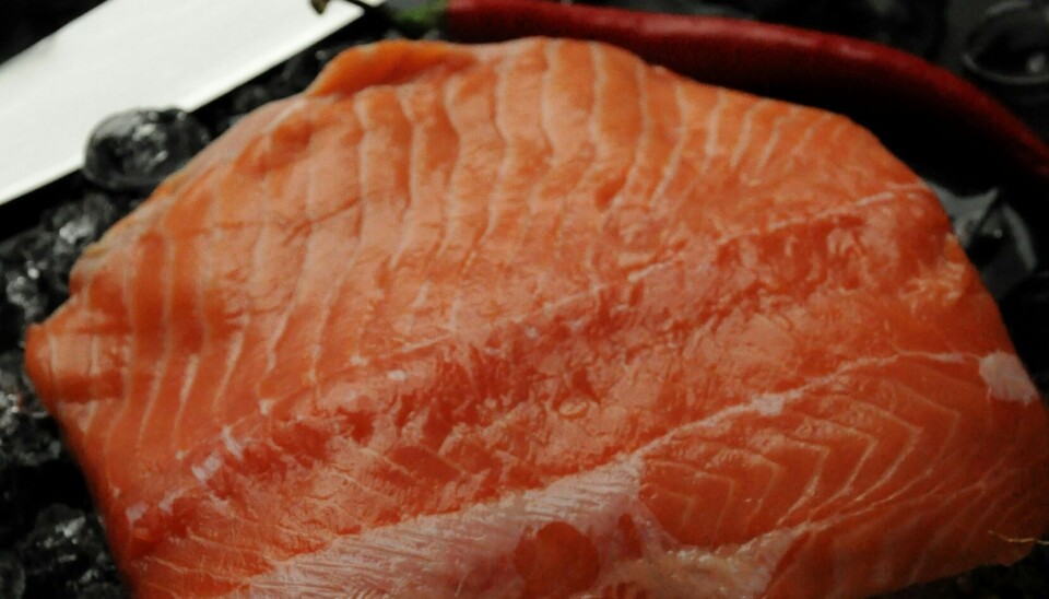 Fiskeproducent politianmeldt for salg af laks med listeria