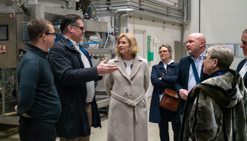 Norges ambassadør i Danmark, Katja Nordgaard (i midten af billedet), besøgte onsdag Hirtshals Havn.