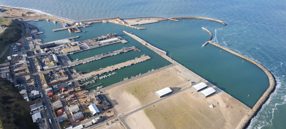 Ny ejer af nordvestjysk fiskerihavn fremviser solidt årsregnskab