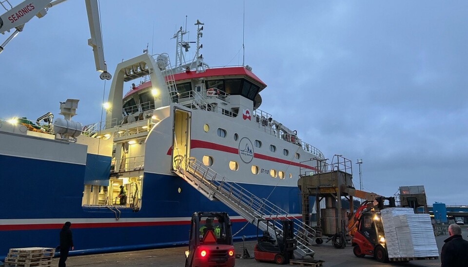 North Atlantic Shipping lossede i sidste uge frosne rejer fra fabrikstrawleren Regina C for Iceberg Seafood.