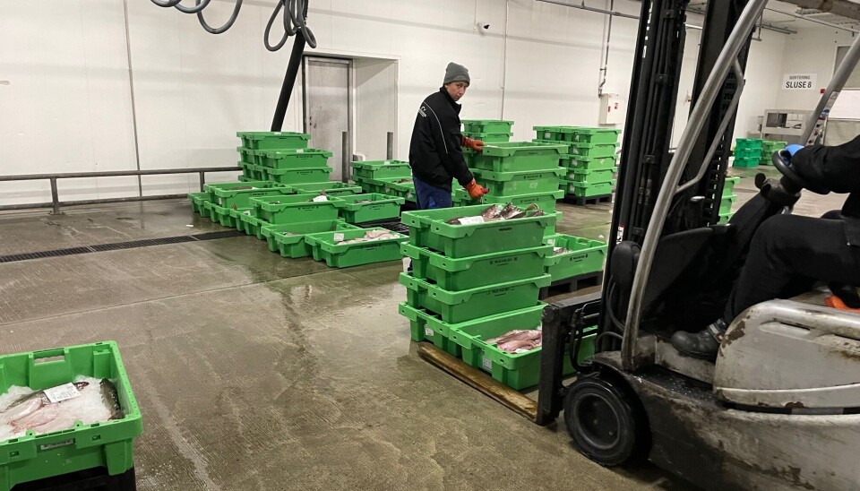 Fiskekasserne på auktionen i Thyborøn har været genstand for stor debat.