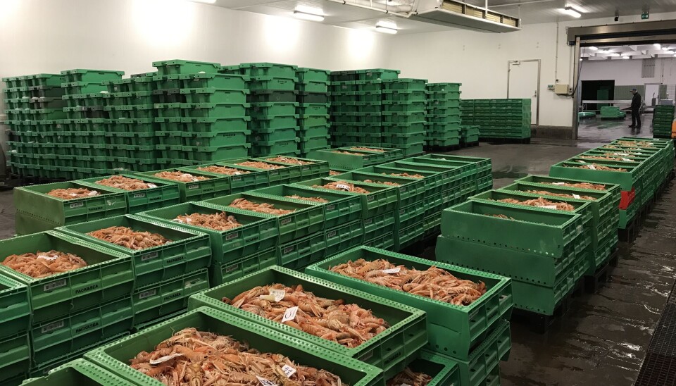 Tæt på Strandby Fiskeauktion