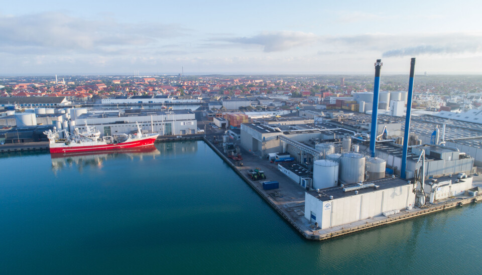 2024 blev endnu et godt år for FF Koncernen i Skagen.